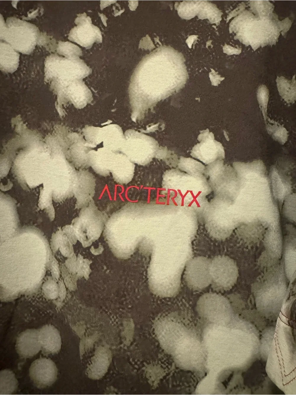 Arc'teryx WALK GENTLY COPAL T-SHIRT